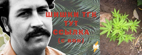 дмт Кинешма