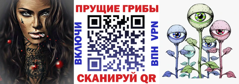 Купить где  Пролетарск  Галлюциногенные грибы Magic Shrooms 